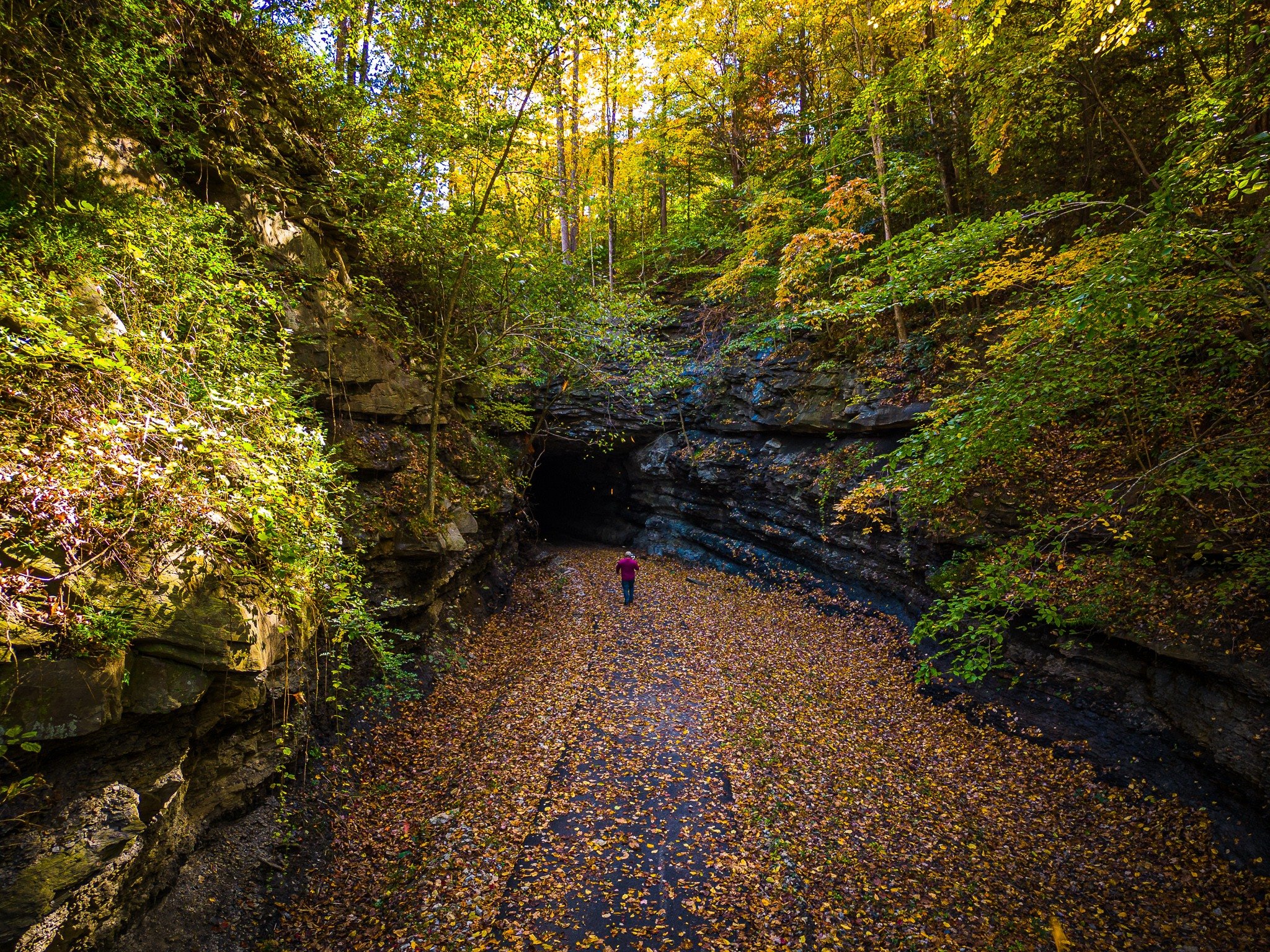 Tanglewood Trail Letcher County Tourism